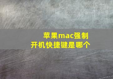 苹果mac强制开机快捷键是哪个