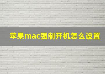 苹果mac强制开机怎么设置