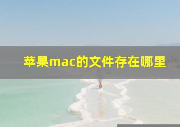 苹果mac的文件存在哪里