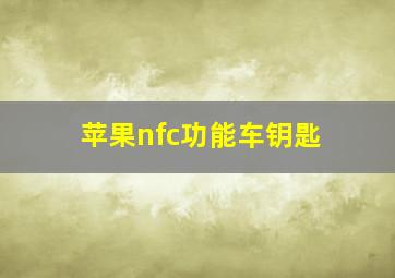 苹果nfc功能车钥匙