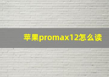 苹果promax12怎么读