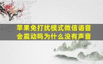 苹果免打扰模式微信语音会震动吗为什么没有声音