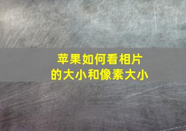 苹果如何看相片的大小和像素大小