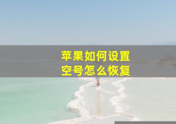 苹果如何设置空号怎么恢复