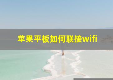 苹果平板如何联接wifi