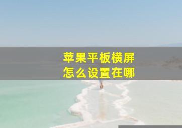 苹果平板横屏怎么设置在哪