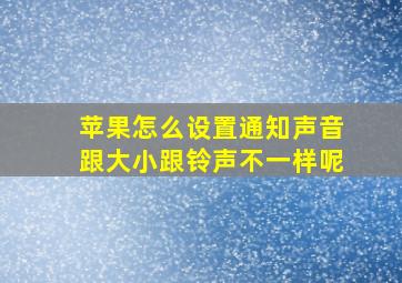 苹果怎么设置通知声音跟大小跟铃声不一样呢