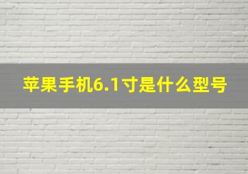 苹果手机6.1寸是什么型号