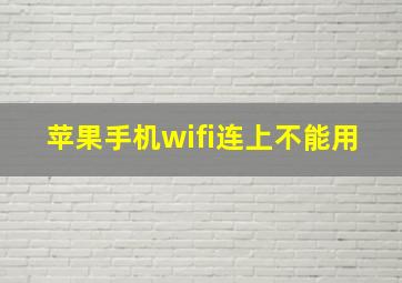 苹果手机wifi连上不能用