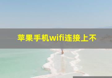 苹果手机wifi连接上不