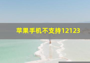 苹果手机不支持12123