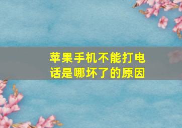 苹果手机不能打电话是哪坏了的原因