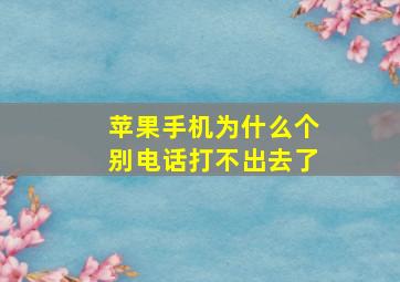 苹果手机为什么个别电话打不出去了