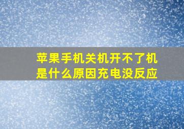 苹果手机关机开不了机是什么原因充电没反应