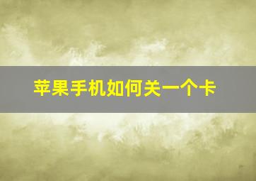 苹果手机如何关一个卡