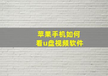 苹果手机如何看u盘视频软件