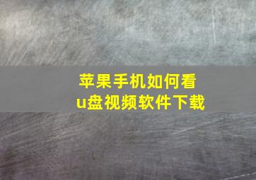 苹果手机如何看u盘视频软件下载