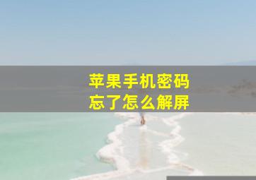 苹果手机密码忘了怎么解屏