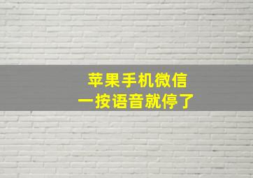 苹果手机微信一按语音就停了