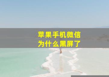 苹果手机微信为什么黑屏了