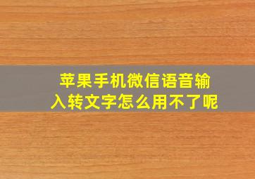 苹果手机微信语音输入转文字怎么用不了呢