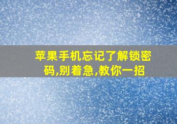 苹果手机忘记了解锁密码,别着急,教你一招