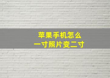 苹果手机怎么一寸照片变二寸