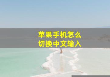 苹果手机怎么切换中文输入