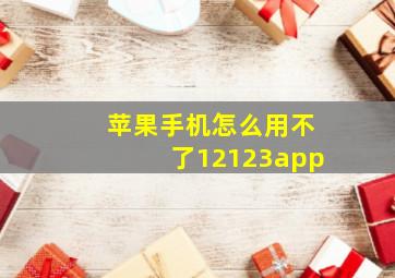 苹果手机怎么用不了12123app