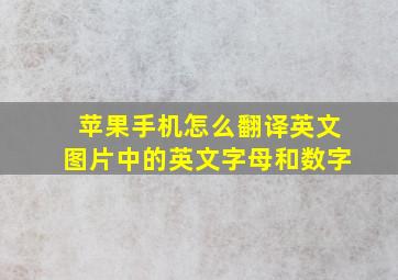 苹果手机怎么翻译英文图片中的英文字母和数字