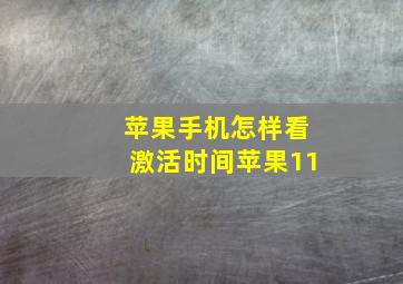 苹果手机怎样看激活时间苹果11