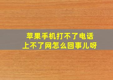 苹果手机打不了电话上不了网怎么回事儿呀