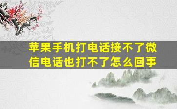 苹果手机打电话接不了微信电话也打不了怎么回事