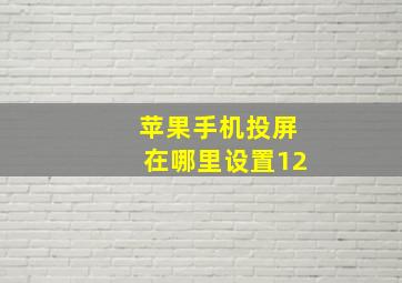 苹果手机投屏在哪里设置12