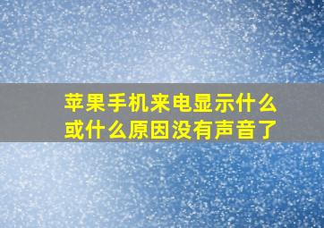 苹果手机来电显示什么或什么原因没有声音了