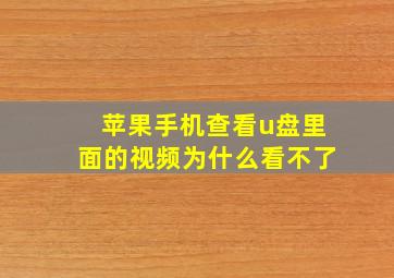 苹果手机查看u盘里面的视频为什么看不了