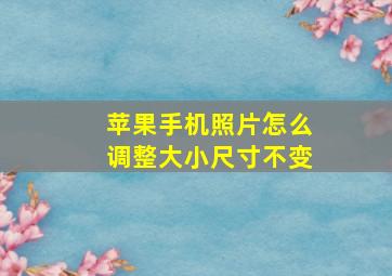 苹果手机照片怎么调整大小尺寸不变