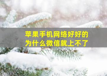 苹果手机网络好好的为什么微信就上不了