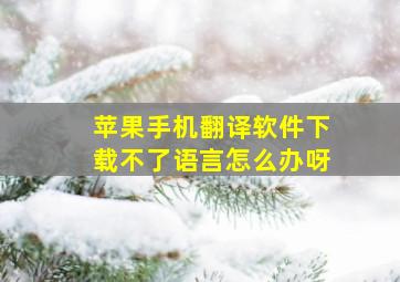 苹果手机翻译软件下载不了语言怎么办呀