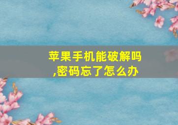 苹果手机能破解吗,密码忘了怎么办