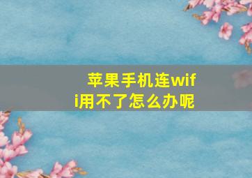 苹果手机连wifi用不了怎么办呢