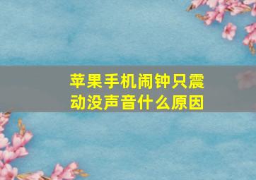 苹果手机闹钟只震动没声音什么原因