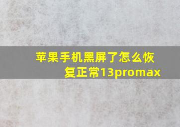 苹果手机黑屏了怎么恢复正常13promax