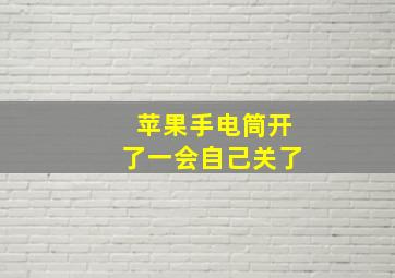 苹果手电筒开了一会自己关了