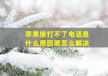 苹果接打不了电话是什么原因呢怎么解决