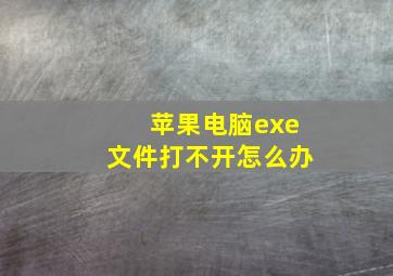 苹果电脑exe文件打不开怎么办