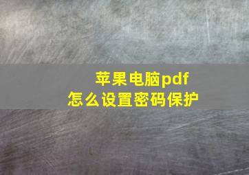 苹果电脑pdf怎么设置密码保护