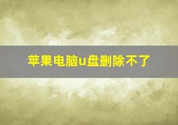 苹果电脑u盘删除不了