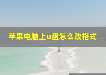 苹果电脑上u盘怎么改格式