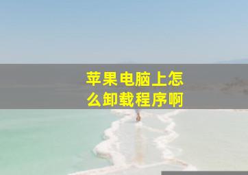 苹果电脑上怎么卸载程序啊